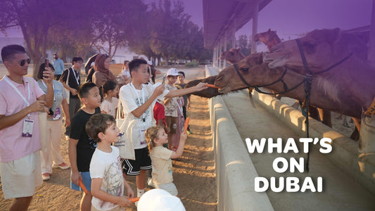 Laura Lai Discovers the Story Behind Camelicious