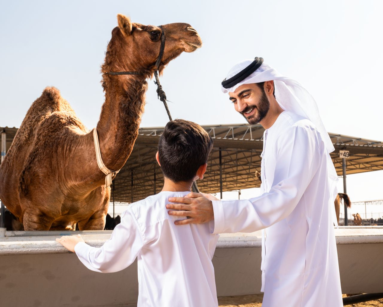 Visitors at Camelicious camel farm in the UAE interacting with a camel during a guided factory and farm tour showcasing sustainable camel milk production