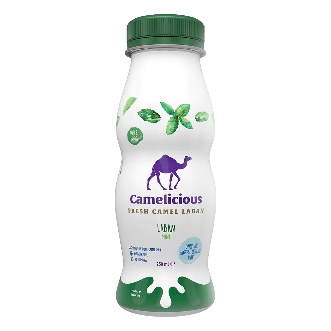 Camelicious Fresh Camel Laban Mint Flavor 250ml bottle, featuring a green cap and mint leaves on the label, made from 100% camel milk and labeled as a superfood.