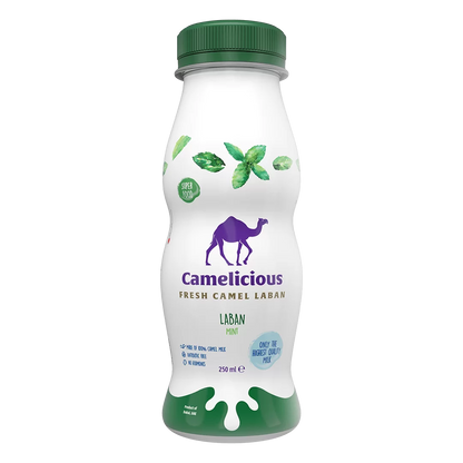 Camelicious Fresh Camel Laban Mint Flavor 250ml bottle, featuring a green cap and mint leaves on the label, made from 100% camel milk and labeled as a superfood.
